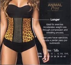 Image of Animal Print "Cheetah" HourGlass Waist Clincher