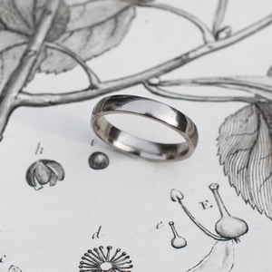 Image of Platinum 4mm plain court ring