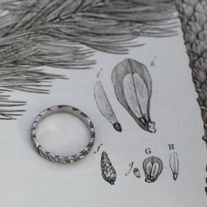 Image of 18ct white gold 4mm laurel leaf carved ring