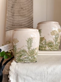 The Beatrice Square Pots ( 2 Sizes )