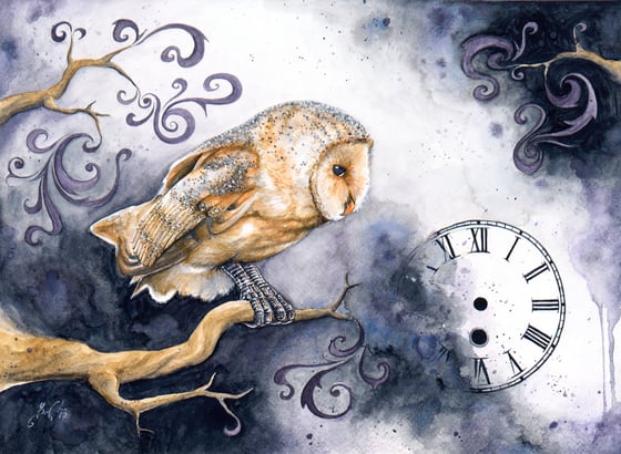 Image of Timelapse - Giclee Fine Art Print, Barn Owl