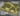 Wooded Gaming Battle Mat --  4'x6' plus  -- #101