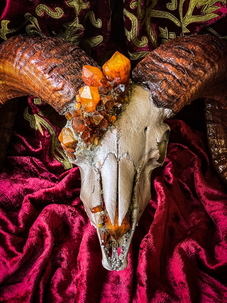 Image of Dyed Candle Quartz Sienna/Honeycomb Quartz Pyrite - Ram Skull