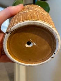 Image 2 of Paddle Plant in Karate Punch Pot