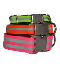 Reflective Dog Collar