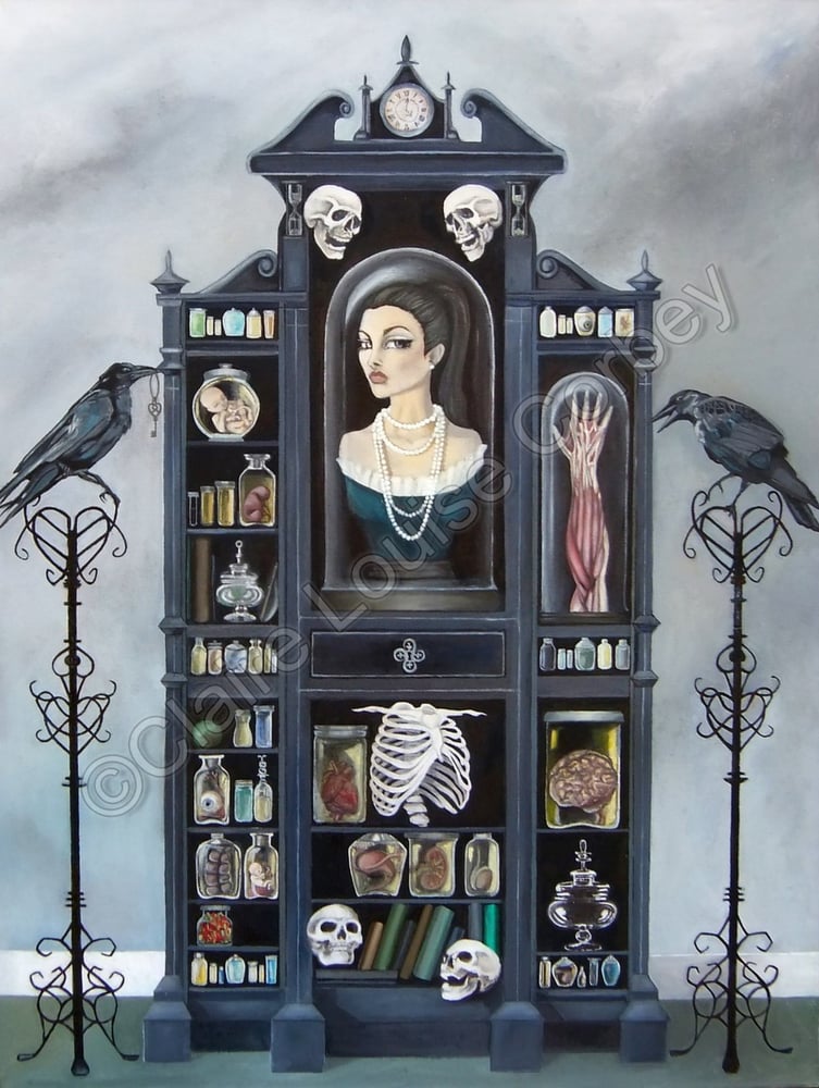 Image of Cabinet of Curiosities