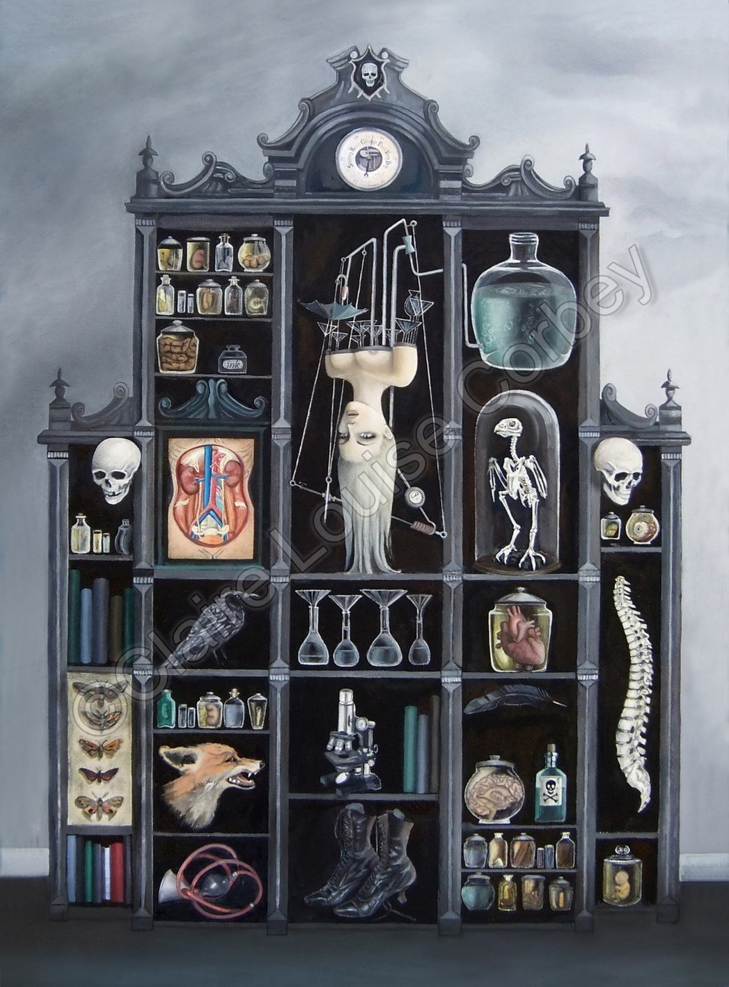 The Cabinet of Curiosities by Stefan Bachmann