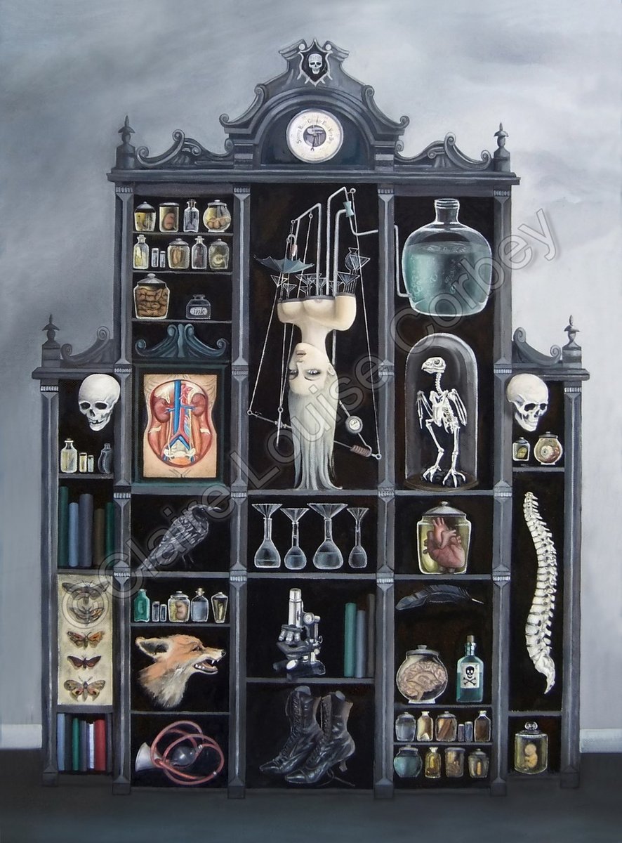 Cabinet of Curiosities II / The7thHollow