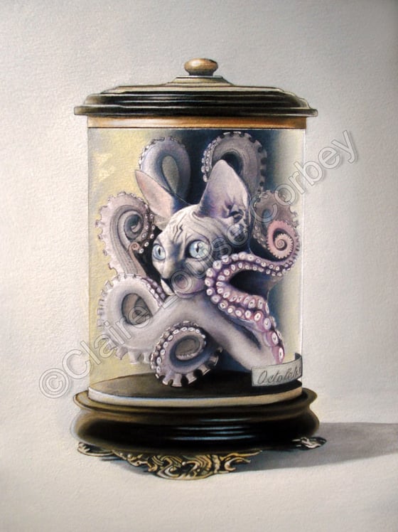 Image of OctoPuss