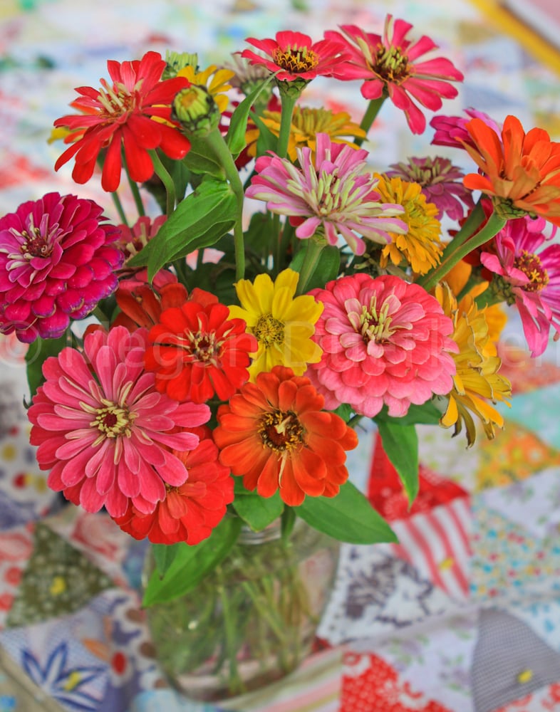 Vase of Zinnias Print megduerksen