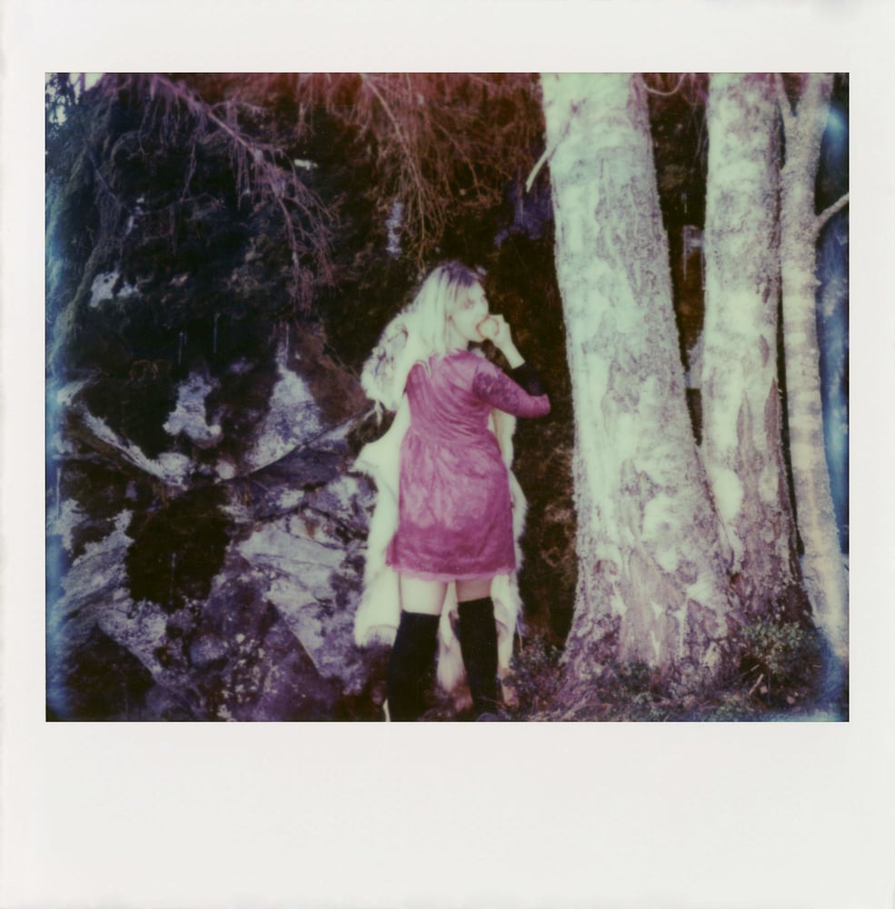 Image of Self-Published Book of Polaroids and Poetry from the Finnish Forest