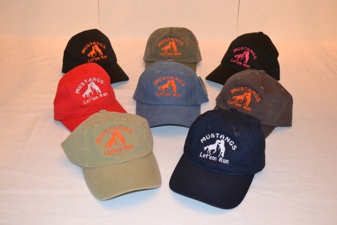 Image of MWHR Baseball Cap