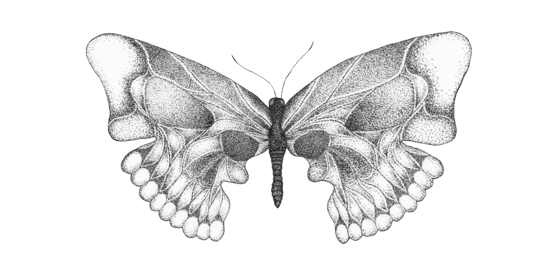 Image of Skull Butterfly Print