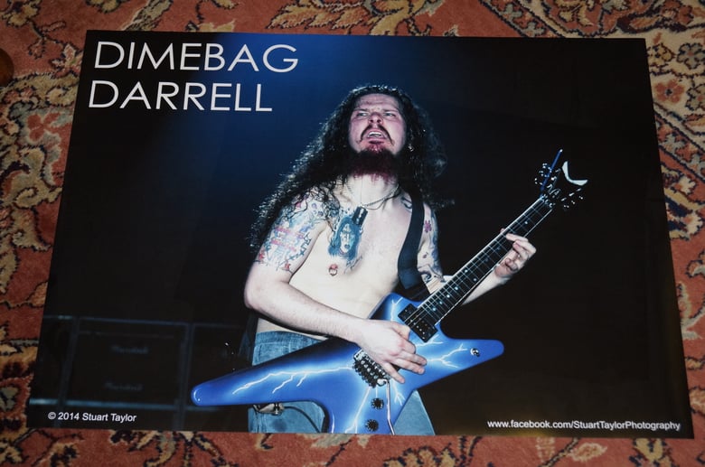 Image of Dimebag Live Shot Poster