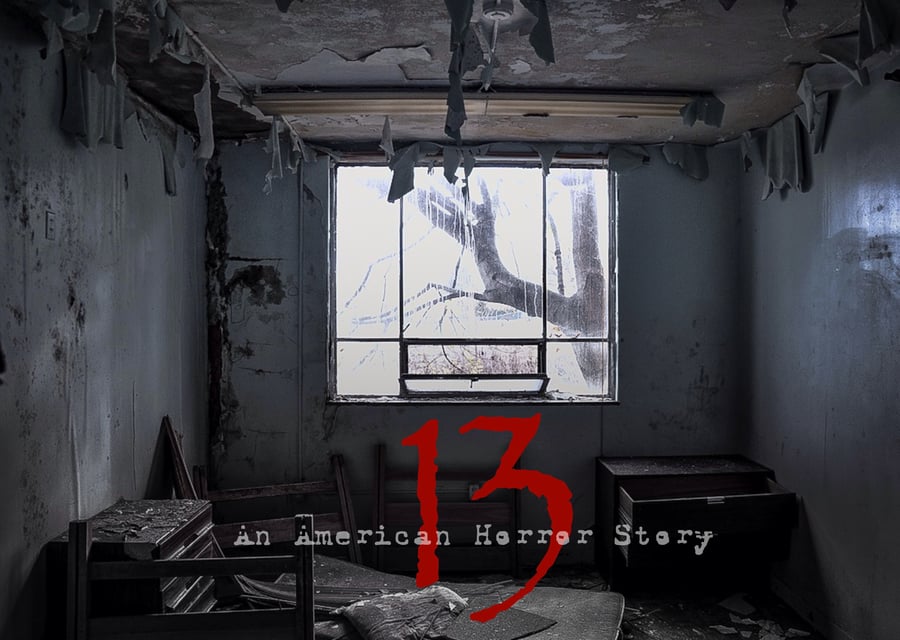 Image of (eBook) 13: An American Horror Story