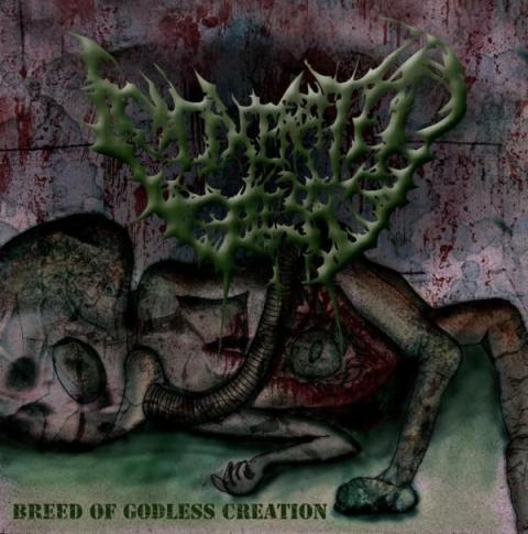 Image of Incinerated Flesh - Breed of godless creation [Full Lenght Album]