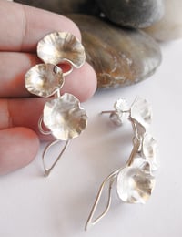 Image 1 of Trailing daisy stud earrings: in sterling silver