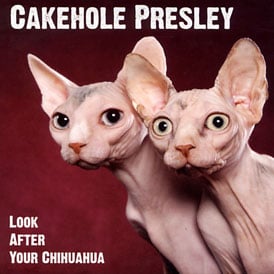 Image of Cakehole Presley  - Look After Your Chihuahua CD