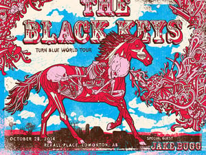 Image of The Black Keys 2014