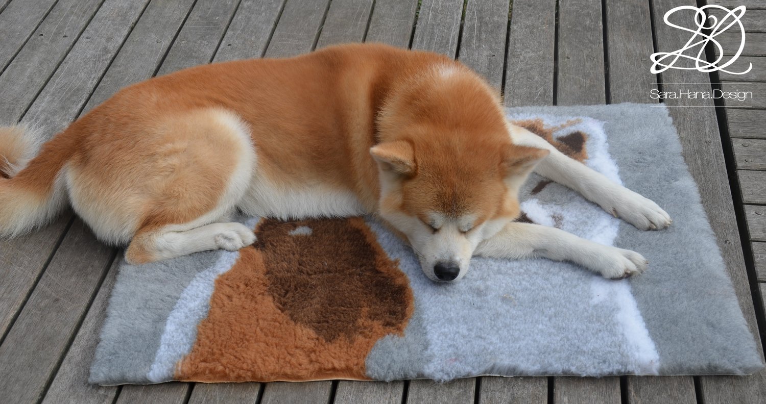 Image of TAPIS POUR CHIEN MODELE AKITA