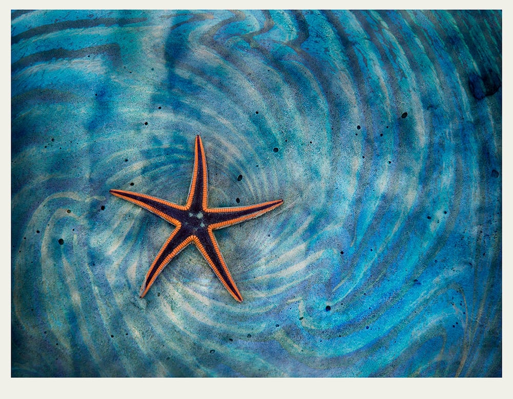 Image of Glass Star