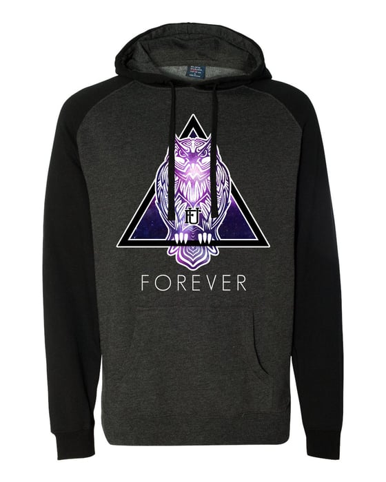 Image of Galaxy Owl Hoodie