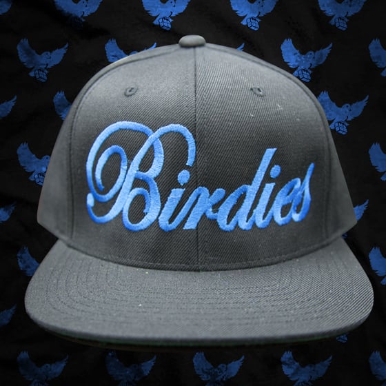 Image of Black/Blue Birdies Script Snapback