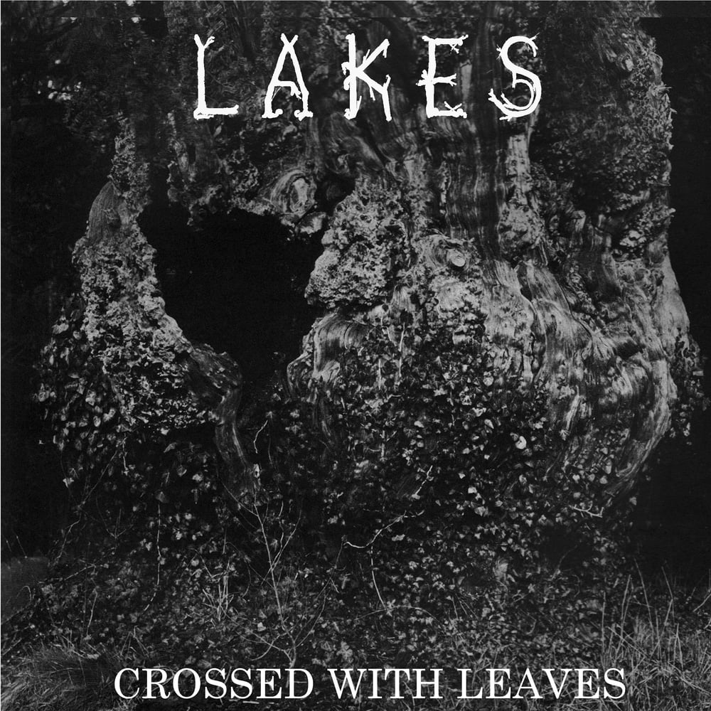 Image of Lakes "Crossed With Leaves" 7"