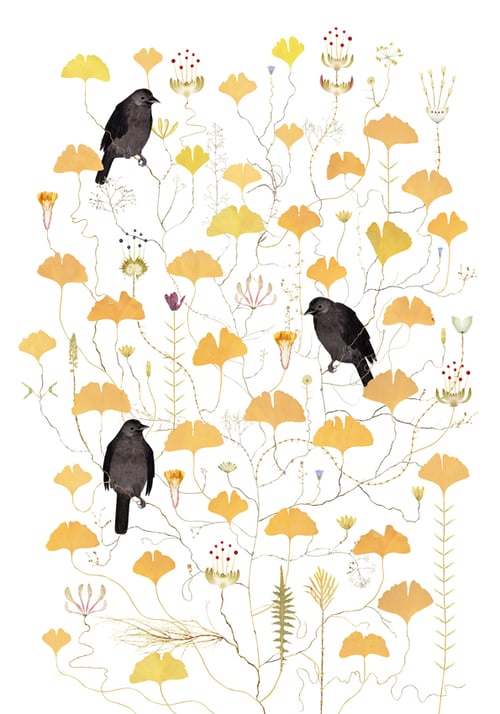 Image of Crow Tree / Kråkträd