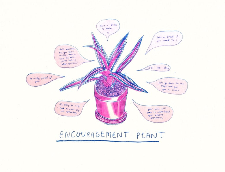 Image of Encouragement Plant