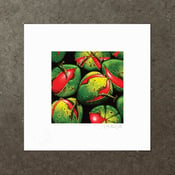 Image of Dysoxylum Klanderi - Art Print