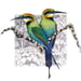 Image of Rainbow Bee Eater - Art Print