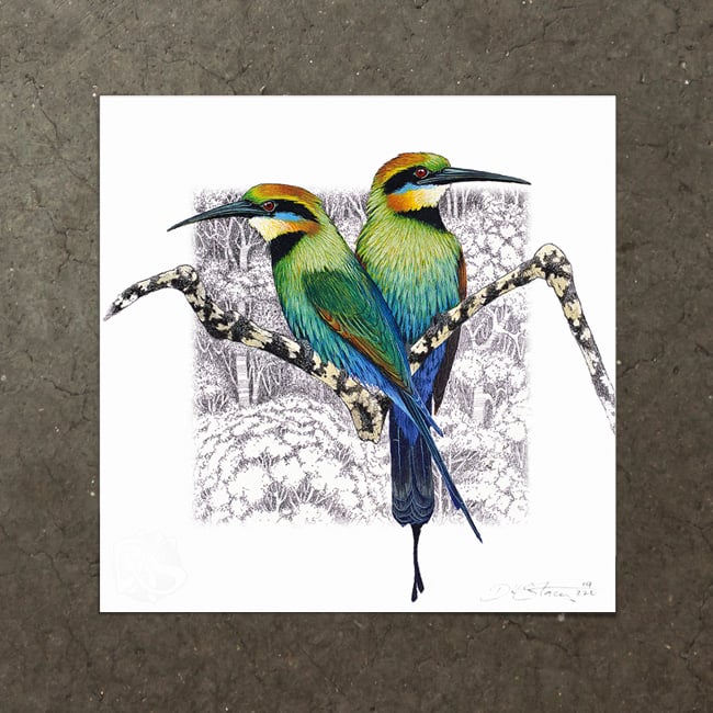 Image of Rainbow Bee Eater - Art Print