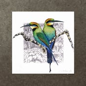 Image of Rainbow Bee Eater - Art Print