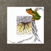 Image of Red Eyed Tree Frog  - Art Print