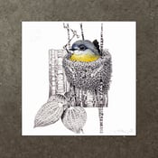 Image of Pale Yellow Robin - Art Print