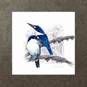 Image of Forest Kingfisher - Art Print
