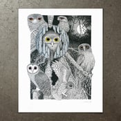 Image of Owl Study - Art Print