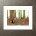 Image of Sclerophyll Forest - Art Print