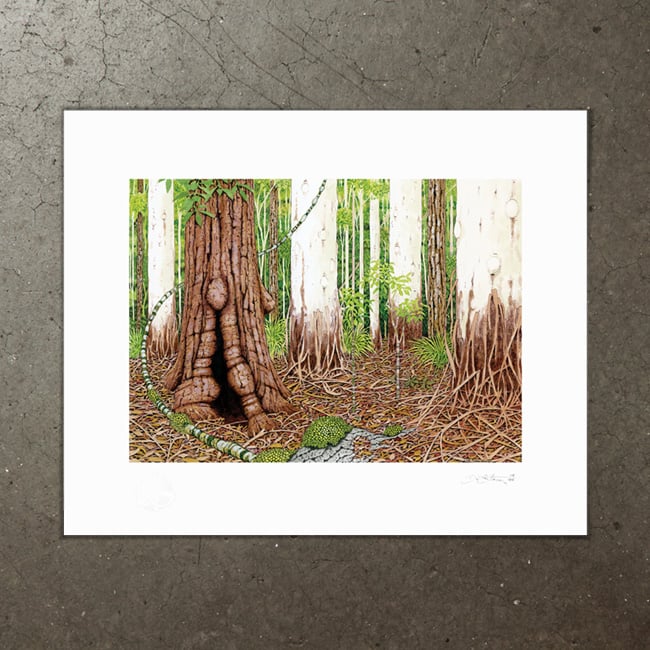 Image of Sclerophyll Forest - Art Print