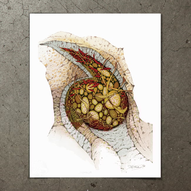 Image of Granite Pothole (November) - Art Print