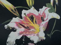 Image 3 of BOB MOULD<br>(rsw 2014)