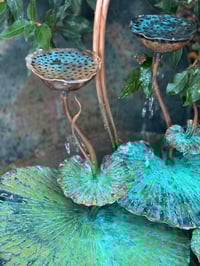 Image 3 of ⛲️🏡Winter Garden 