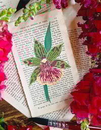 Image 1 of Life in Old Pages Botanical n.2 Zygopetalum