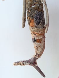 Image 4 of A gentle Mermaid