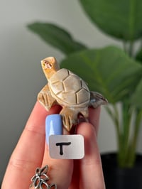 Image 20 of CHOOSE YOUR OWN MINI SOAPSTONE TURTLES