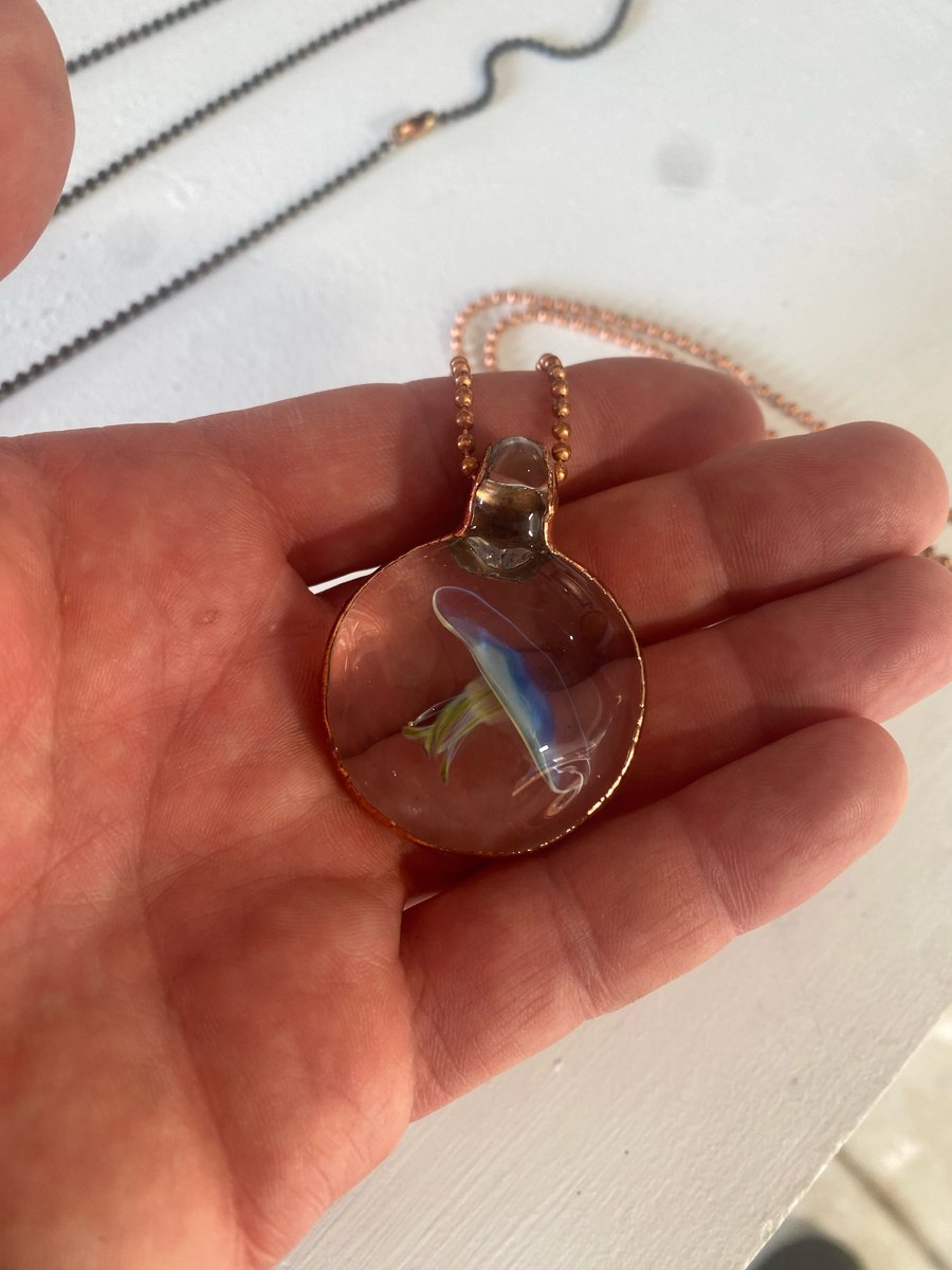 Image of Looking glass porthole jelly