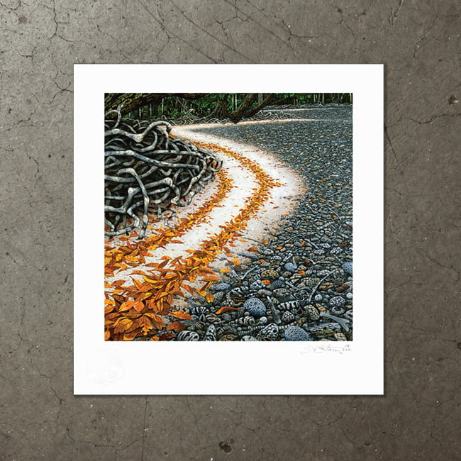 Image of Calophyllum Tide - Art Print