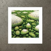 Image of Water and Stone - Art Print