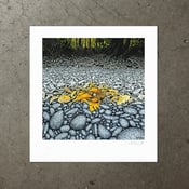 Image of Low Tide - Art Print